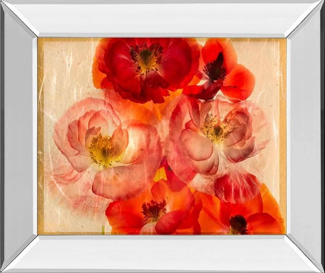 Classy Art Papaver Dreams I by Harold Davis Mirror Framed Wall Art-0