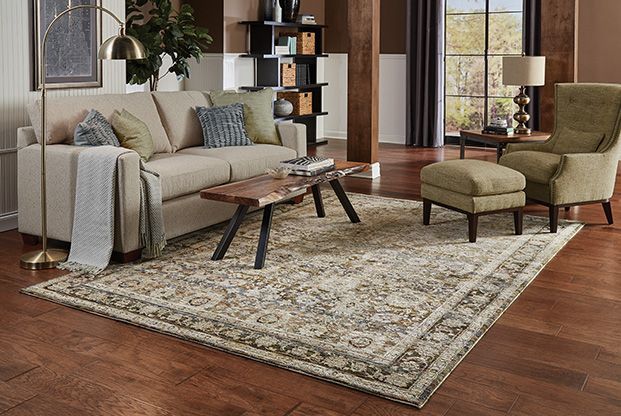 Area rug in living room Area rug in living room
