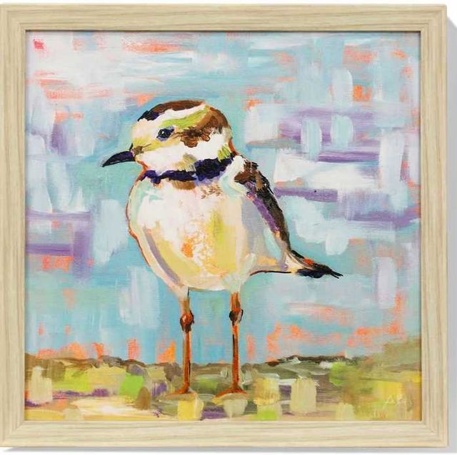 Stylecraft Coastal Plover Multi-Colored Wall Art-0