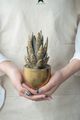 A & B Home Gold Succulent Figurine-5