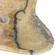 A & B Home Javier Multi-Colored Hand-Carved Zebra Onyx Bowl-2