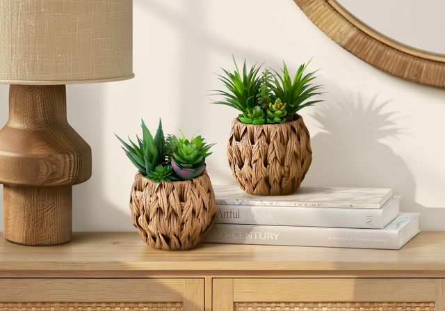 Monarch Specialties Inc. 2-Piece 9" Succulent Artificial Plant Set with 6" Brown Woven Baskets-0