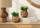 Monarch Specialties Inc. 2-Piece 9" Succulent Artificial Plant Set with 6" Brown Woven Baskets-0