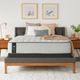 Sealy® Posturepedic® Summer Rose Innerspring Soft Faux Euro Top Full Mattress-2