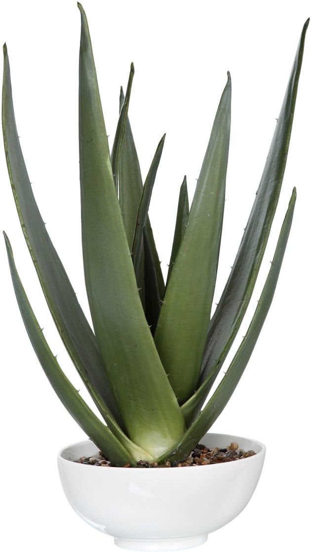 Uttermost® Evarado Glossy White/Green Aloe Planter-0