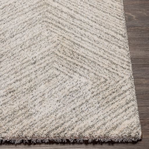 Surya Gavic Charcoal/Cream 5'x7' Area Rug-1