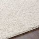 Surya Gavic Cream 4'x6' Area Rug-5