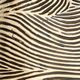 Uttermost® Pochette Black/White Sculpture-4