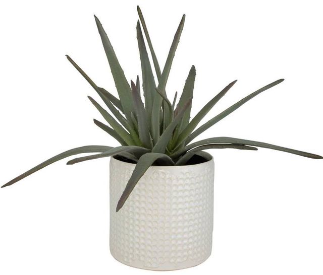 Uttermost® Taos Green/Ivory Aloe Centerpiece-3