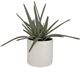 Uttermost® Taos Green/Ivory Aloe Centerpiece-3