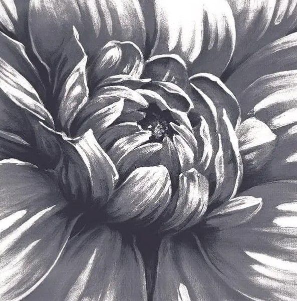 Classy Art Charming Floral I by Dogwood Portfolio Wall Art-1
