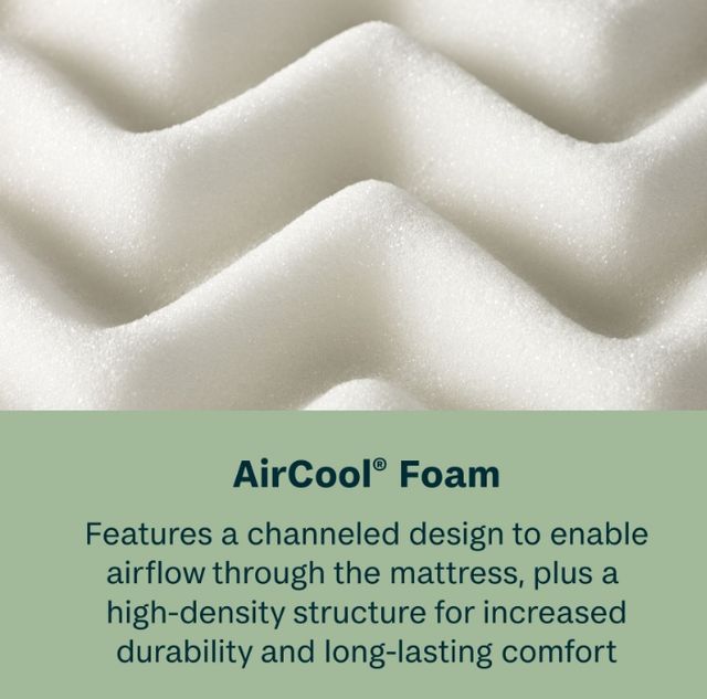 BeautySleep® Soothing Nights 12" Pocketed Coil Firm Tight Top King Mattress in a Box-3