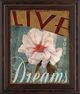 Classy Living Kelly Donovan Live your Dream Wall Art-0