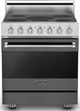 Viking® 3 Series 30" Damascus Gray Pro Style Electric Range-0