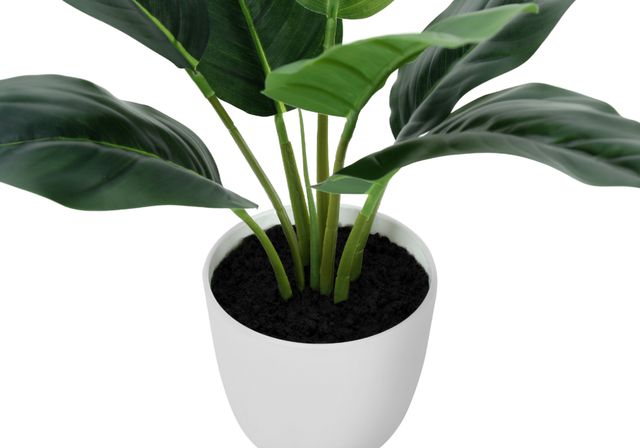 Monarch Specialties Inc. Green/White 17" Tall Artificial Potted Aureum-1