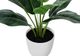 Monarch Specialties Inc. Green/White 17" Tall Artificial Potted Aureum-1