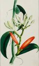 Stylecraft Green/Light Green/Off-White/Orange Wall Art-1