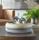 Uttermost® Ombra Bronze/Silver Bowl-1