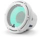 JL Audio® M6 8" Marine Subwoofer with Transflective™ LED Lighting-0