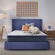 Serta® Perfect Day® 12” Wrapped Coil Plush Pillow Top Twin Mattress in a Box-1