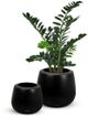 Le Present Belly Black 15" Planter-2