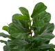A & B Home Green 5' Artificial Fiddle-Leaf Tree in Pot-1