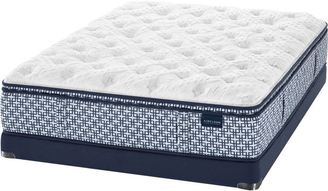 Aireloom® Coronata Wrapped Coil Euro Top Firm Twin Mattress-2