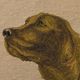 Nourison Home™ Mina Victory Vintage Pillow Beige Golden Retriever 20"x20" Throw Pillow-2