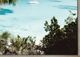 Moe's Home Collection Tropical Bay Wall Décor-2