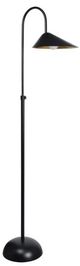 Renwil® Forte Matte Black Floor Lamp-2
