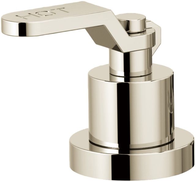 Brizo Litze® Brilliance® Polished Nickel Roman Tub Faucet Industrial Lever Handle Kit-0