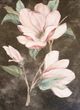 Stylecraft Dark Brown/Gray/Green/Light Green/Light Red/Pink Wall Art-1