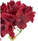 A & B Home Orange 14" Faux Hydrangea-3