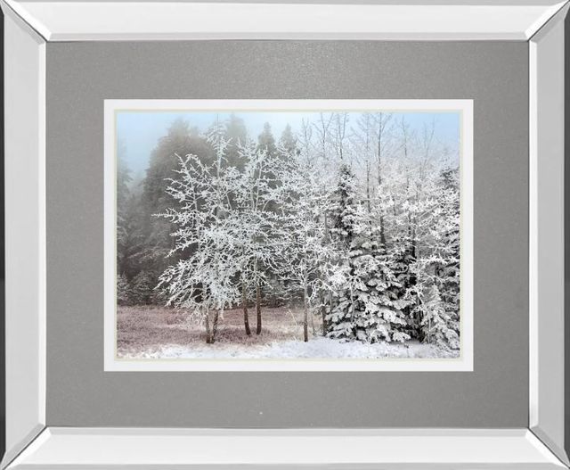 Classy Art White Frosty Morning by Mike Jone Wall Art-0