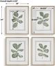 Uttermost® Fiddle Head 4-Piece Leaf Framed Print Art Set-2