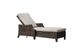 Ratana Whidbey Island Hazel Brown Resin Adjustable Lounger-0