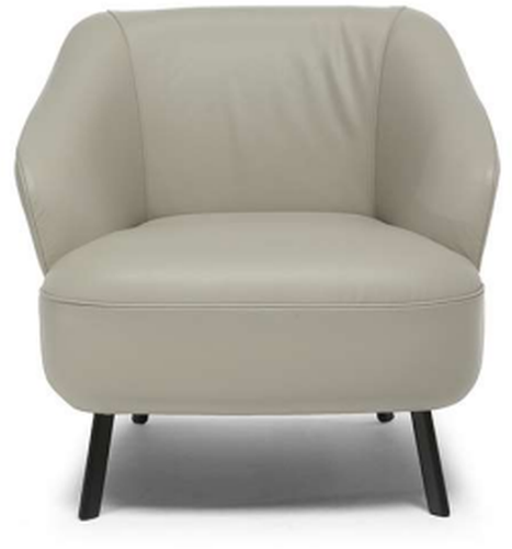 Natuzzi Editions Damen Accent Chair-1