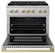 ZLINE Marino 36" Satin Stainless Steel Pro Style Gas Range with Champagne Bronze Accents-1