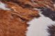 Feizy Bartlett Exotic Medium Small Rug-3