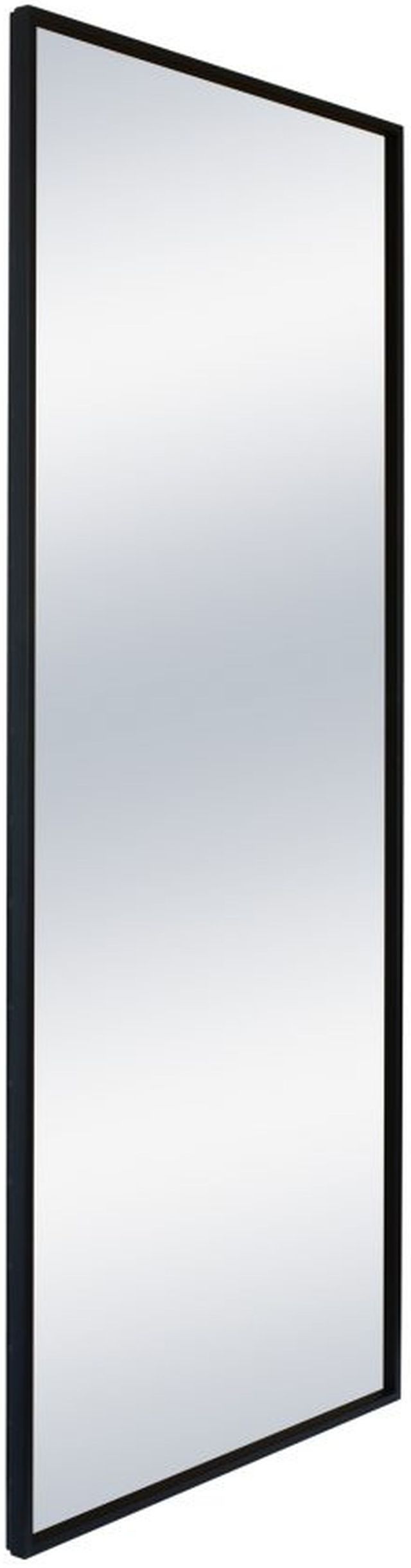 Moe's Home Collection Squire Black Mirror-0