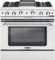 Capital Cooking™ Culinarian 36" Stainless Steel Pro Style Gas Range-0