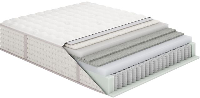 Aireloom® Preferred Luxetop™ 14" Wrapped Coil Luxury Firm Tight Top California King Mattress-3