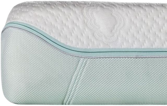 BEDGEAR® Dri-Tec® Performance Memory Foam Firm Crib and Toddler Mattress-2
