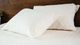 Zenima® Natural Queen Pillow Protector-0