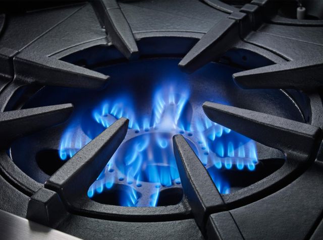 BlueStar® Platinum™ Series 30" Color Match Slide In Liquid Propane Gas Range-3