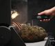 Napoleon Fast Read Meat Thermometer-4
