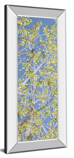 Classy Art Spring Poplars I by Sharon Chandler Wall Art-1