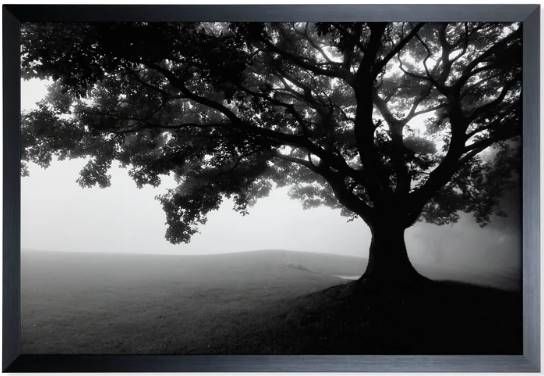 Stylecraft Black/Light Gray Wall Art-0