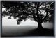 Stylecraft Black/Light Gray Wall Art-0