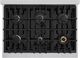 ZLINE Select 36" Stainless Steel Pro Style Dual Fuel Range with Black Matte Door-2
